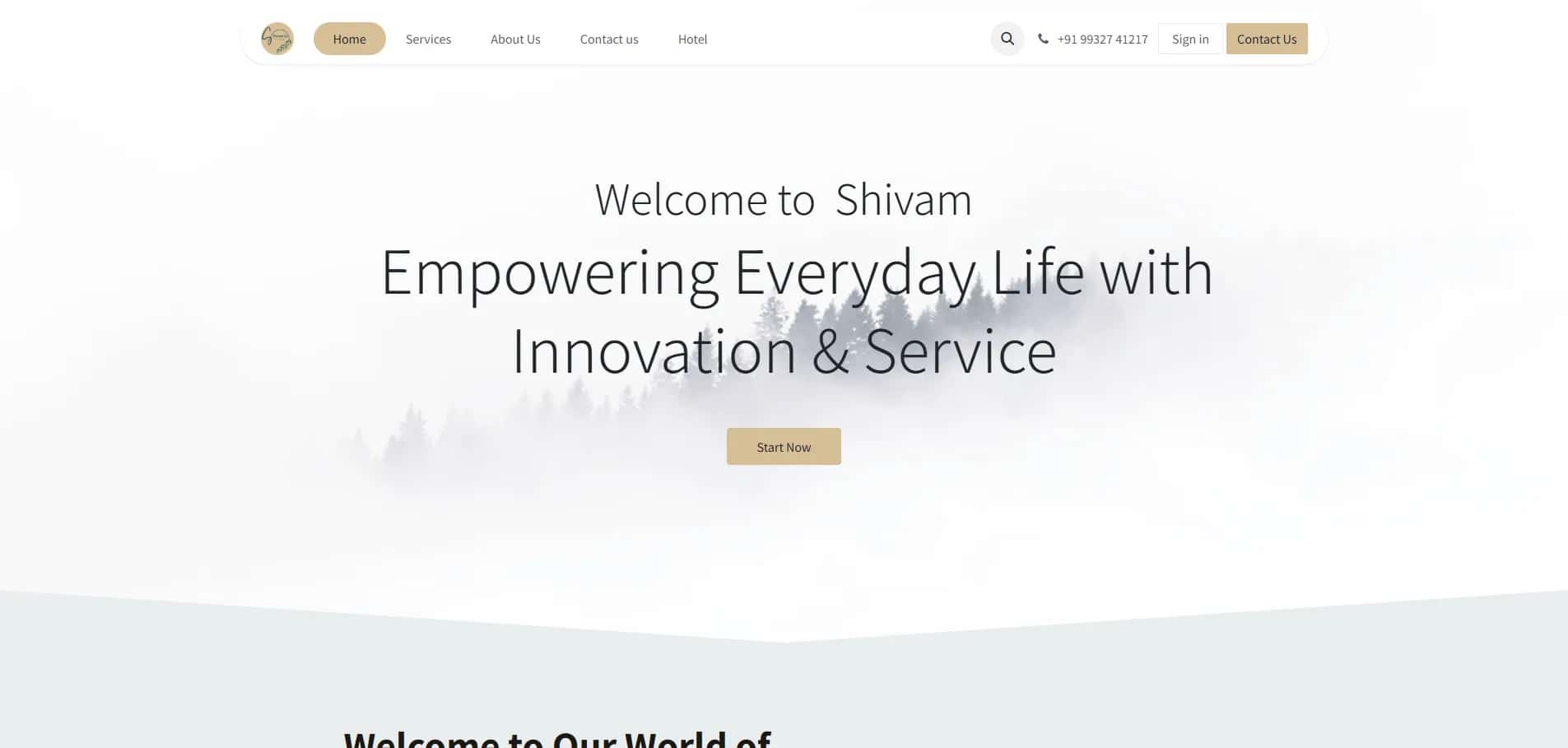 Driving Corporate Growth website preview